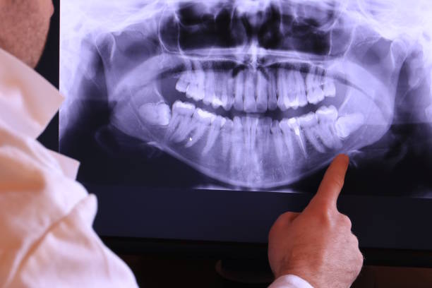 Best Emergency X-Rays and Diagnostics in Clifton, TN