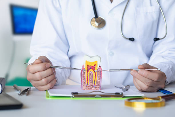Best Dental Abscess Treatment in Clifton, TN
